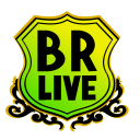 Brasil live 360 logo