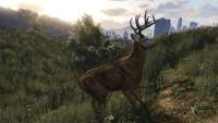 How to become a deer in GTA 5