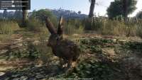 In GTA 5 you can turn into a rabbit!