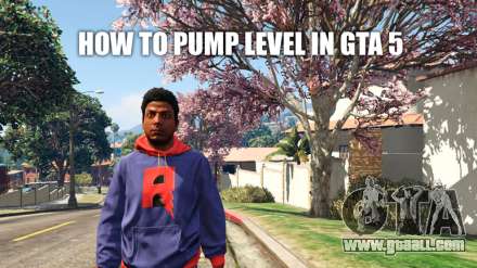How to bleed LVL in GTA 5 online