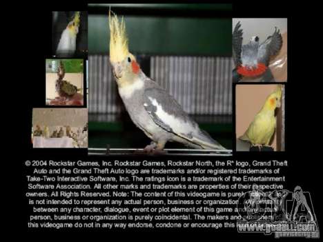 Boot screen Parrots Parrot beta for GTA San Andreas