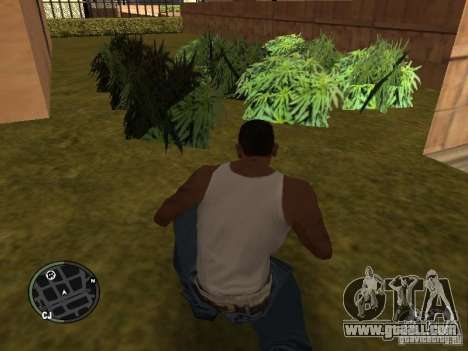 Marijuana v2 for GTA San Andreas