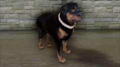 Rottweiler from GTA 5 for GTA San Andreas