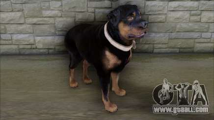 Rottweiler from GTA 5 for GTA San Andreas