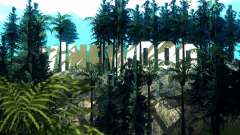 New Vinewood Realistic for GTA San Andreas