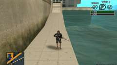 C-HUD by SampHack v.8 for GTA San Andreas