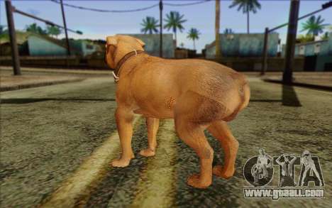 Rottweiler from GTA 5 Skin 2 for GTA San Andreas