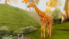 Giraffe (Mammal) for GTA San Andreas