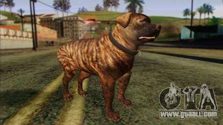 Rottweiler from GTA 5 Skin 1 for GTA San Andreas