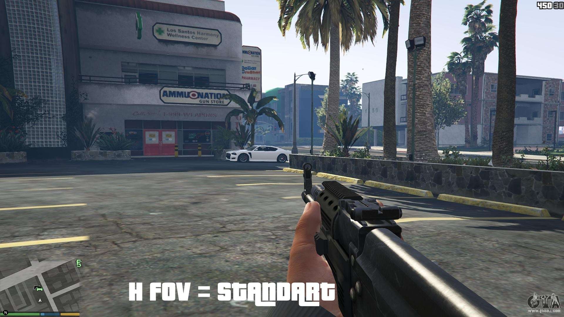 GTA V FoV 