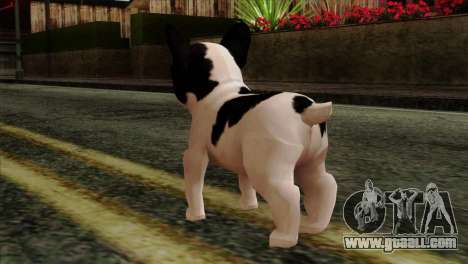 French Bulldog for GTA San Andreas