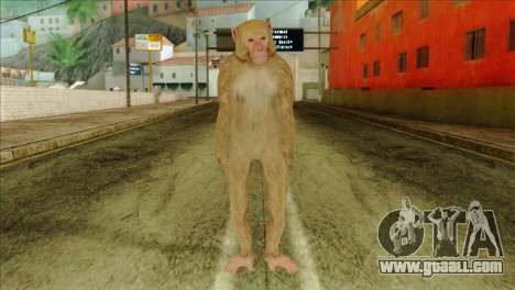 Monkey Skin from GTA 5 v2 for GTA San Andreas