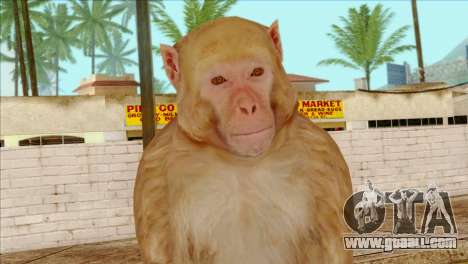 Monkey Skin from GTA 5 v2 for GTA San Andreas