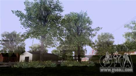 The texture of the trees from MGR for GTA San Andreas