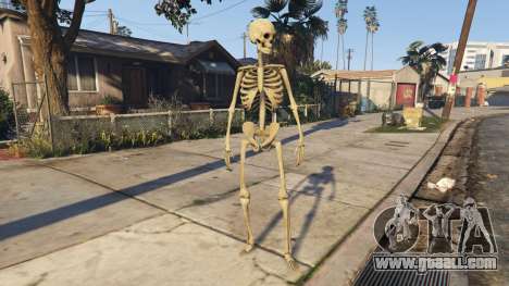 GTA 5 Skeleton 1.0