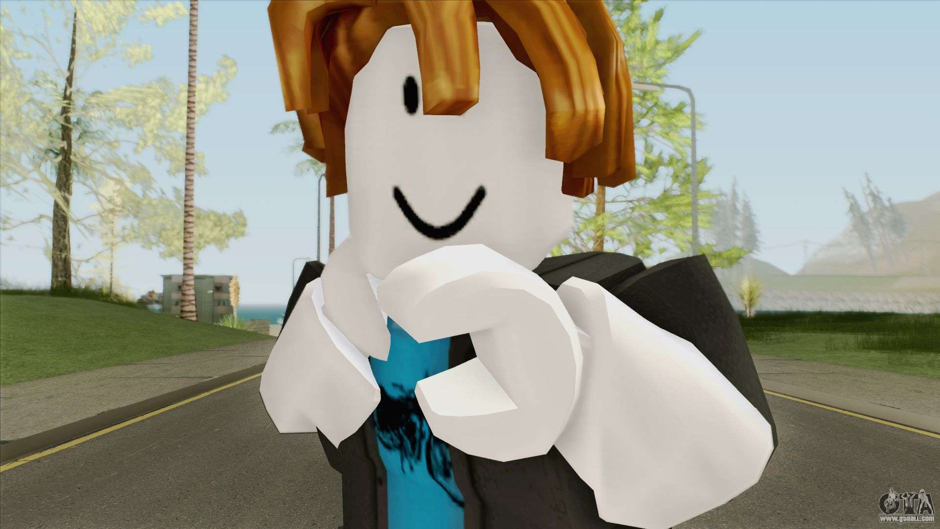 Roblox Bacon Hair - Skymods