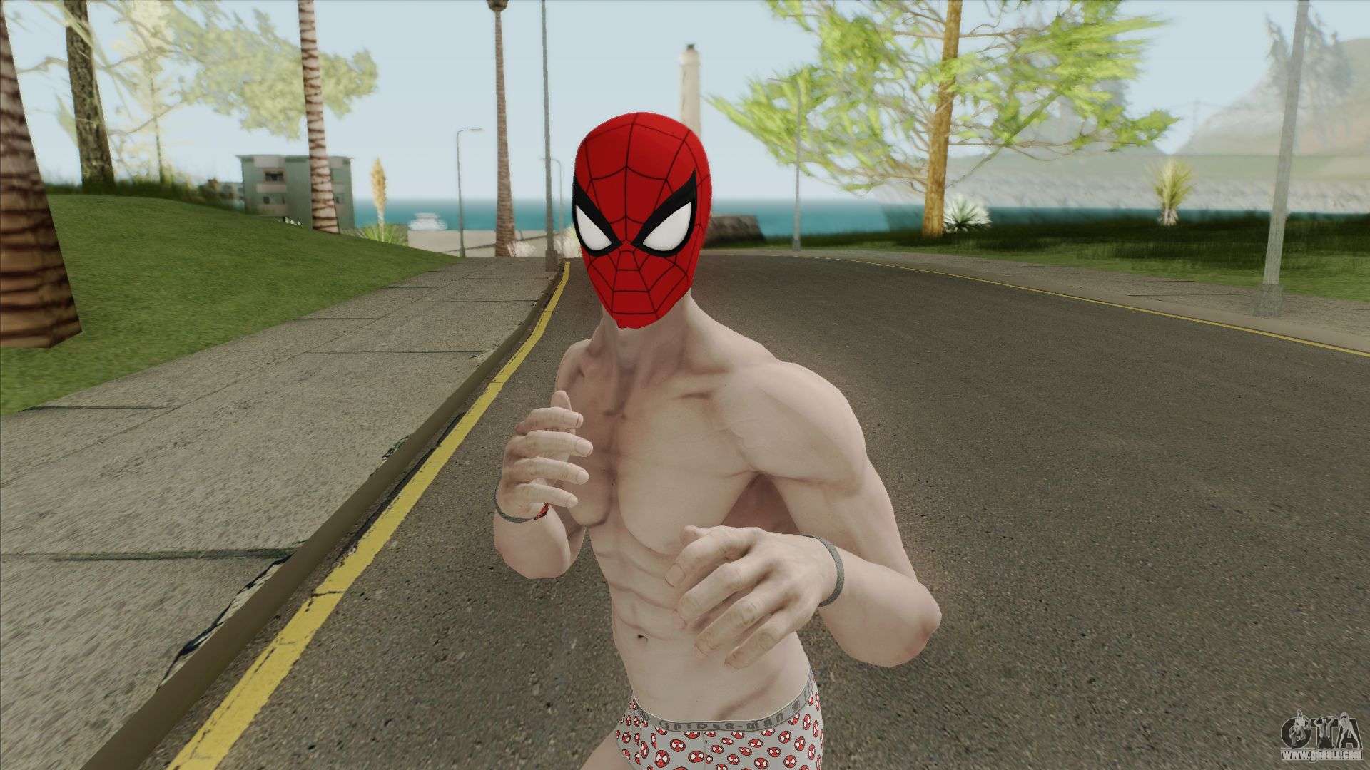 Spider-Man (Undies Suit) for GTA San Andreas