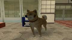 Following Dog (CLEO 4) for GTA San Andreas