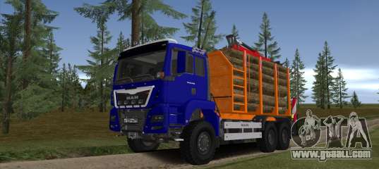 MAN TGS 18.480 LPcars Sortiment