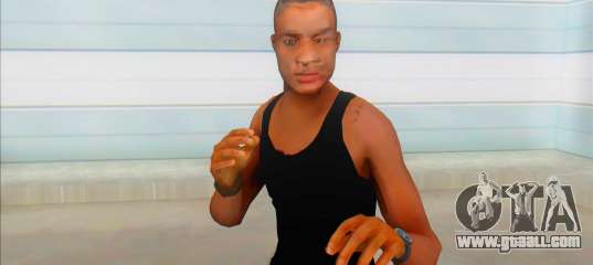 WWF Attitude Era Skin (dlobrown)