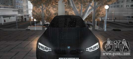BMW M4 BRUSHDM4