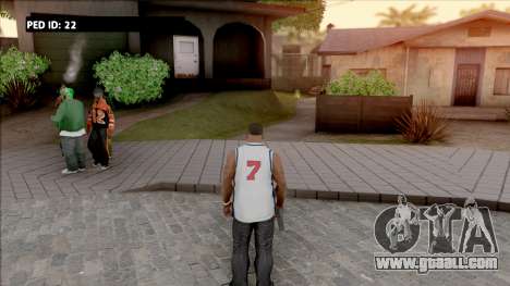 Ped ID Info for GTA San Andreas