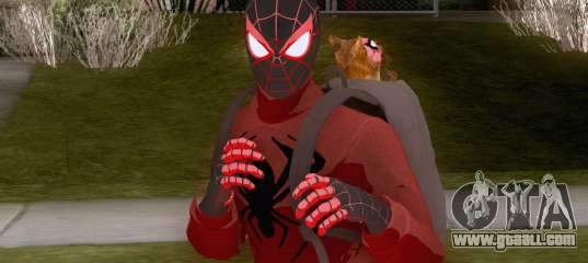 Spider-Man Miles Morales Bodega Cat Suit