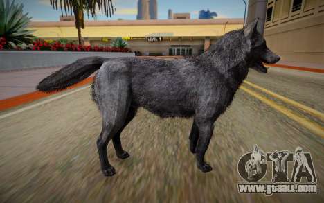 Wolf from Call Of Duty: Ghosts for GTA San Andreas