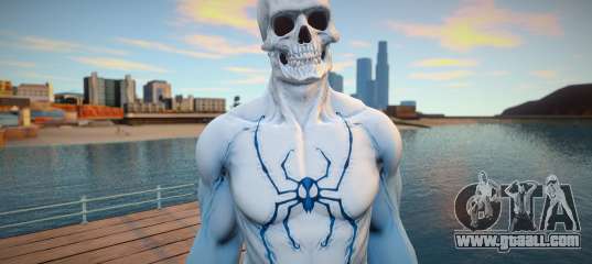 Spirit Spider
