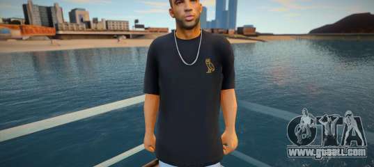 Drake Skin