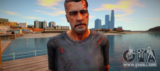 Terminator skin