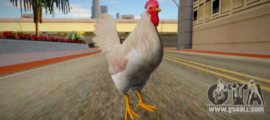 Gallo