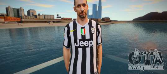 Mirko Vucinic