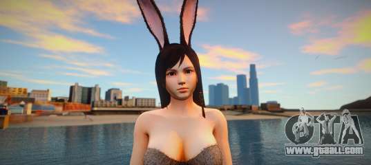 Kokoro bikini rabbit