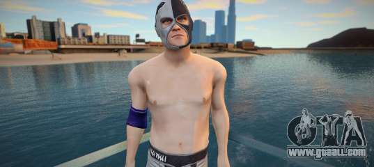 Hitman Wrestling
