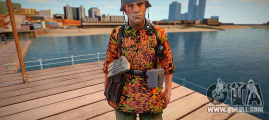 Waffen SS Soldat Camouflage
