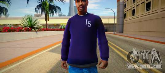 Security Guard