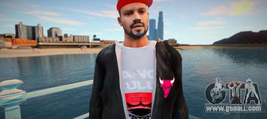 Male Chicago Bulls style