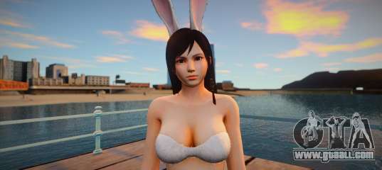 Kokoro light bikini rabbit