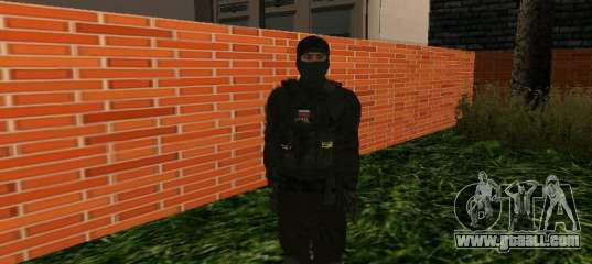Skin Special Forces
