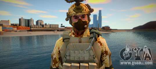 Equipped military