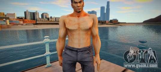 Mitsurugi in Casual Clothing 2