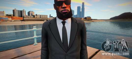 Lebron James (good skin)