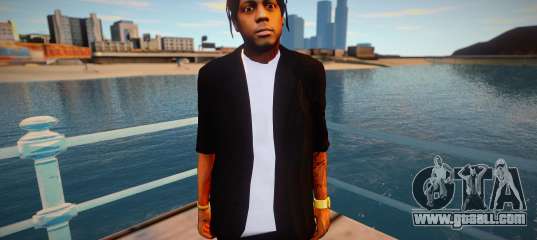 Lil Wayne next version
