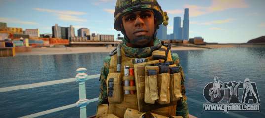 Call Of Duty Modern Warfare - Woodland Marines 1