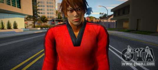 Shin Fu Kung Fu 3