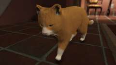 Mogie The House Cat for GTA 5