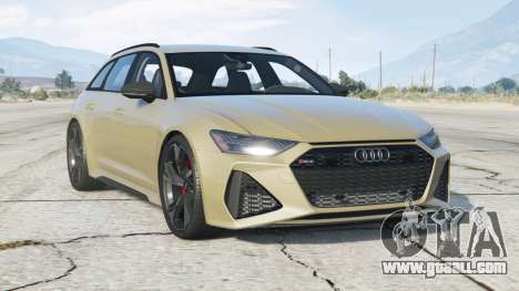 Audi RS 6 Avant (C8) 2019〡add-on v1.0