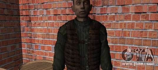 Strelok for GTA Vice City