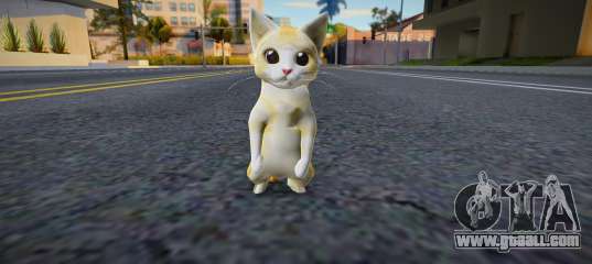 Miguel (cat)